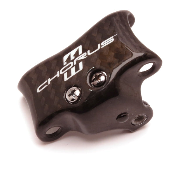 Campagnolo RD-CH220 Chorus rear derailleur external plates replacement