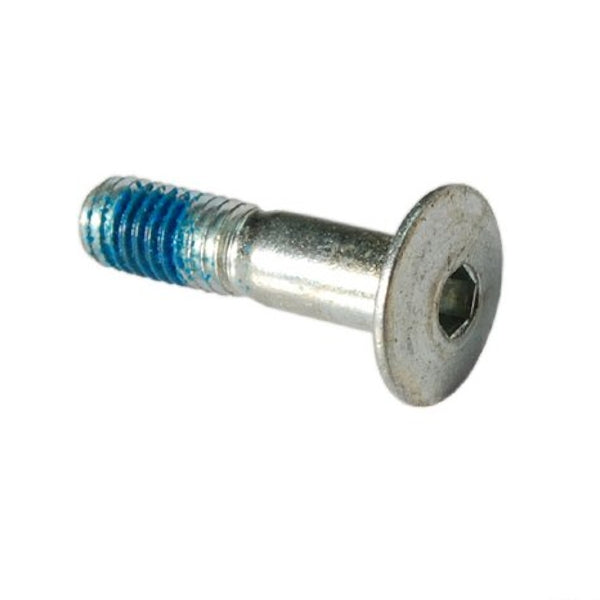 Campagnolo shifter parts genuine replacement components for road bike gear systems