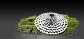 Campagnolo EKAR 13-speed cassette in various sizes for gravel and road bikes