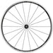 Campagnolo / Front Wheel / Clincher / 700c Campagnolo Calima Clincher Wheels - Options