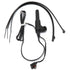 Campagnolo Ergobrain sensor electronics genuine speed and cadence sensor for cycling computer