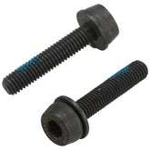 Campagnolo flat mount screws for adapter genuine disc brake hardware components