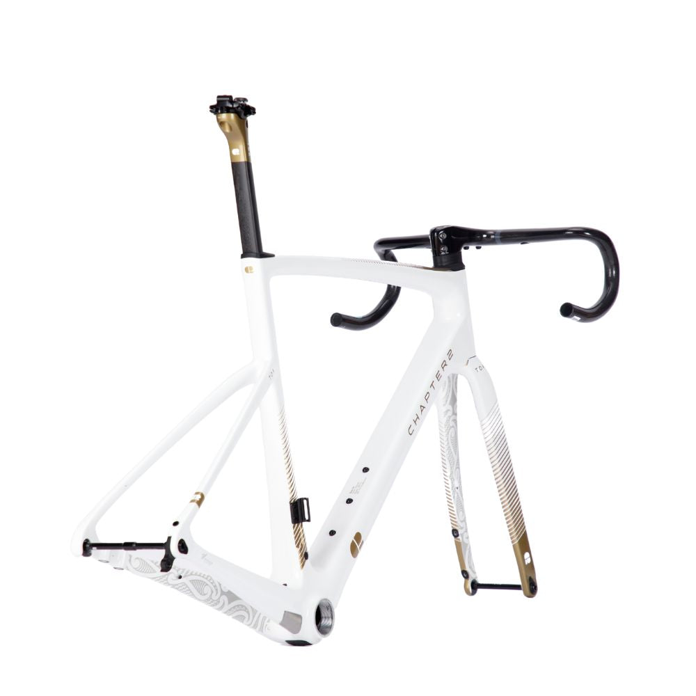 Chapter2 TOA Carbon Disc Brake Frameset White and Gold lightweight aero road frame